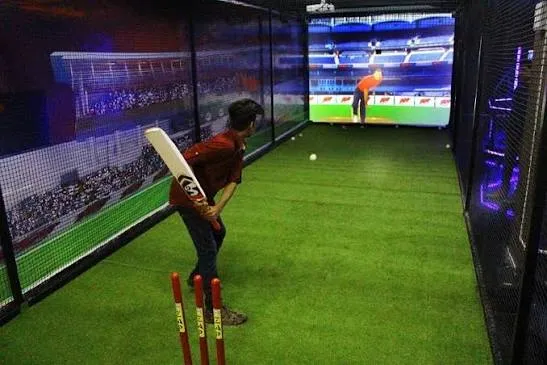 Cricket Simulator